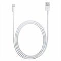 Câble Apple Lightning d'Origine MXLY2ZM/A - iPhone, iPad, iPod - Blanc - 1m