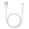 Câble Lightning / USB Apple ME291ZM/A -  Blanc - 0.5m