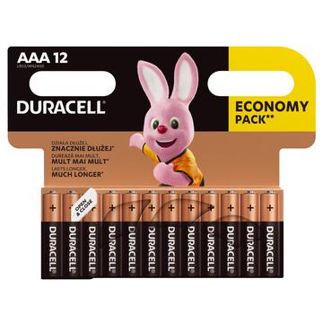 Piles alcalines Duracell Basic LR03/AAA - 12 pièces