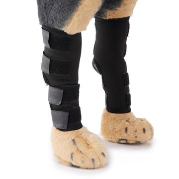 Genouillère pour animal de compagnie / Support de l\'articulation du jarret de la patte arrière du chien pour la récupération après une blessure - M