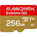 Carte mémoire microSDXC SanDisk Extreme GO SDSQXGN-256G-GN6MN