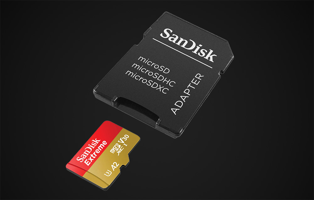 Carte mémoire SanDisk Extreme microSDXC SDSQXAV-256G-GN6MA - 256 Go